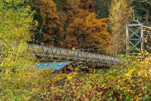 Explore Carnation: Farms, Festivals, and Fresh Air