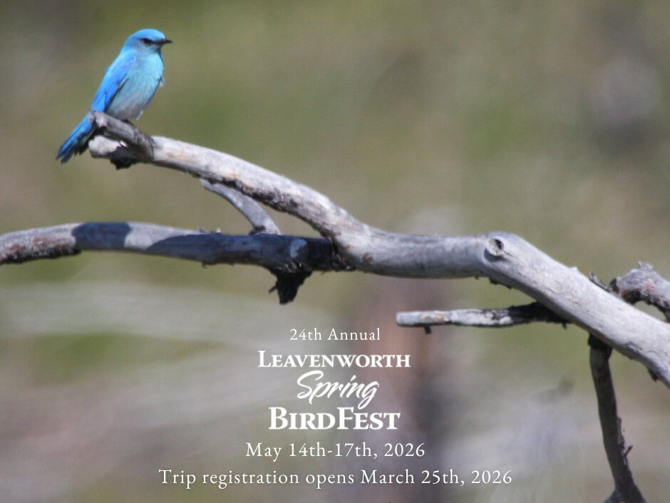 Leavenworth-Bird-Fest