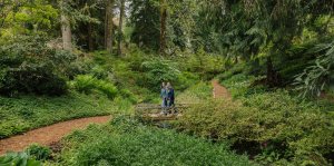 A couple walks across a small wooden bridge in a forested garden on Bainbridge Island