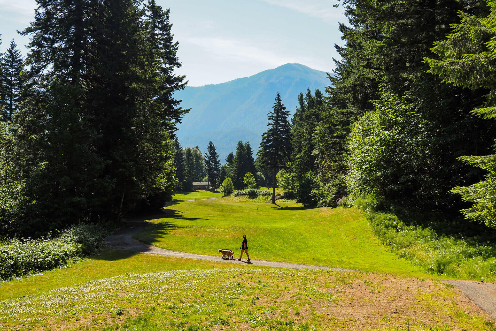 A man walks a dog on the grounds of Skamania Lodge in the Columbia River Gorge, a great place for a dog-friendly vacation in Washington