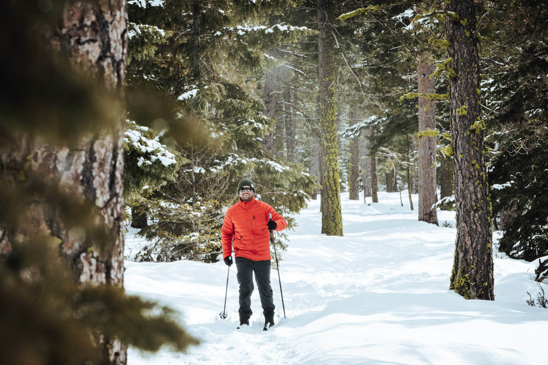 A man enjoys cross-country skiing on a forested trail