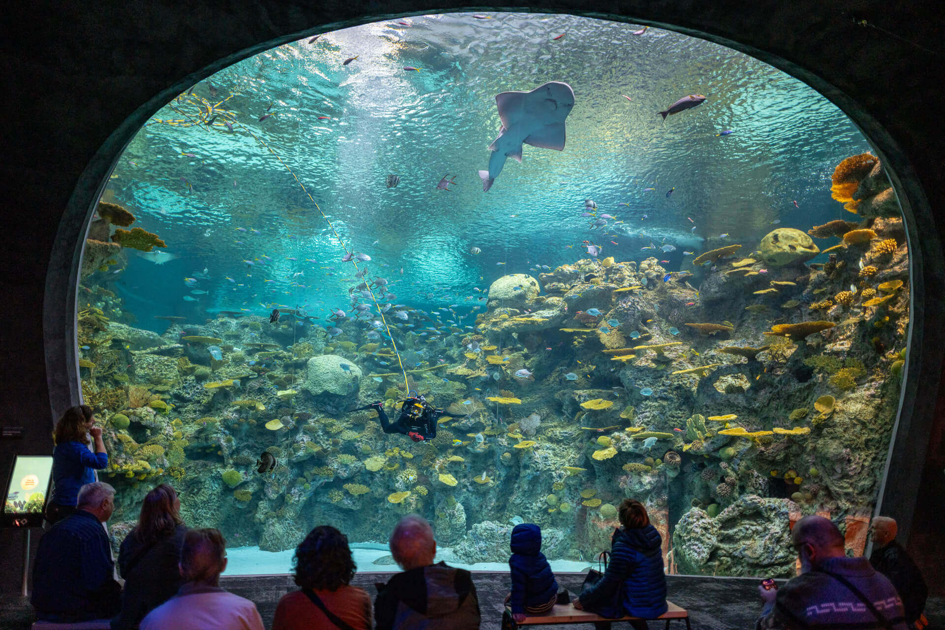 Families explore the Ocean Pavilion at the Seattle Aquarium, one of the top indoor things to do with kids in Seattle.