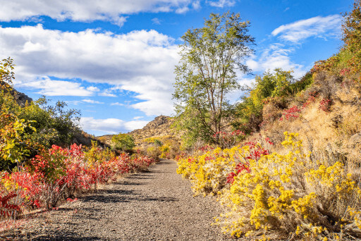 Cowiche Canyon Trail in the Cowiche Canyon Conservancy near Yakima, WA. 