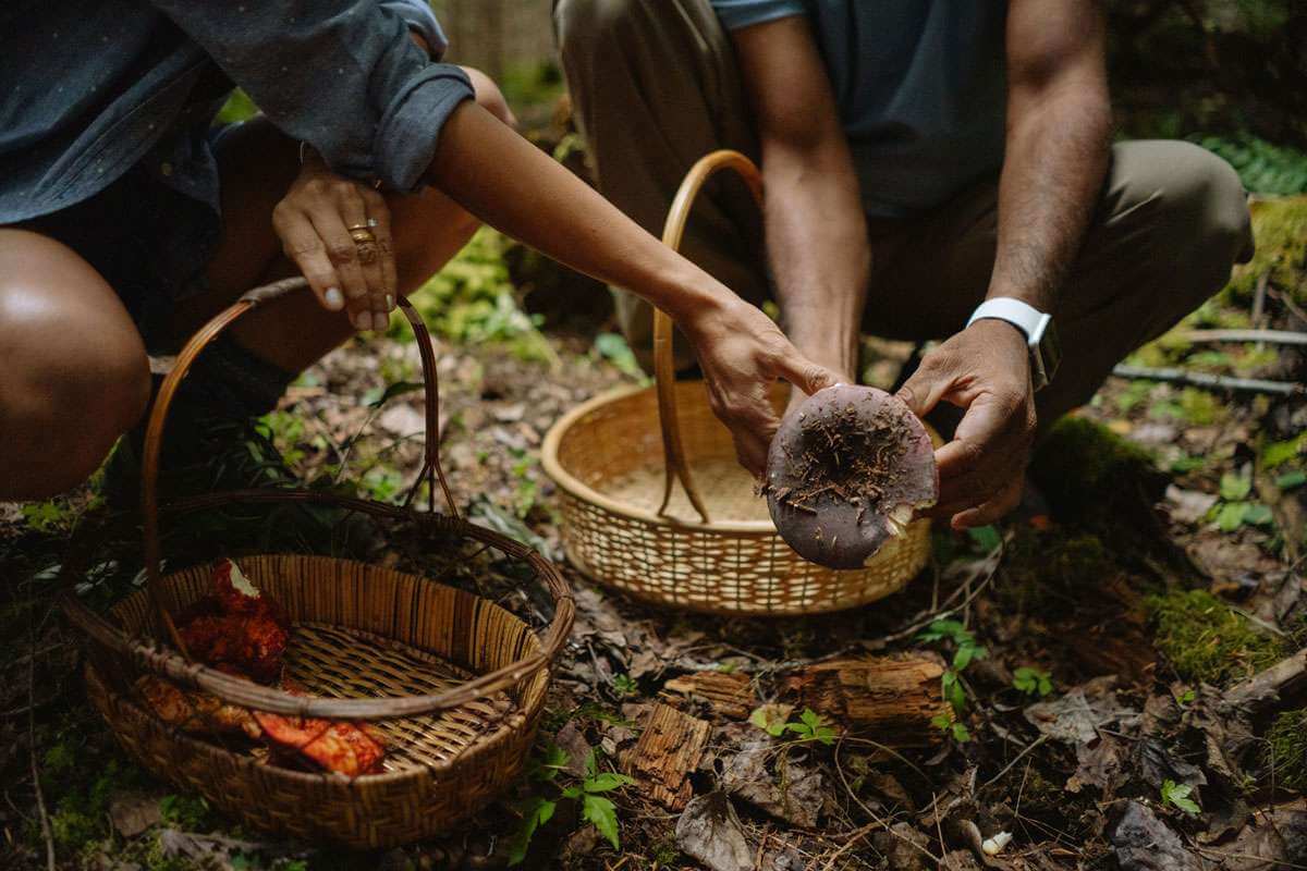Two women with baskets holding a mushroom in the Volcanoes Region of Washington