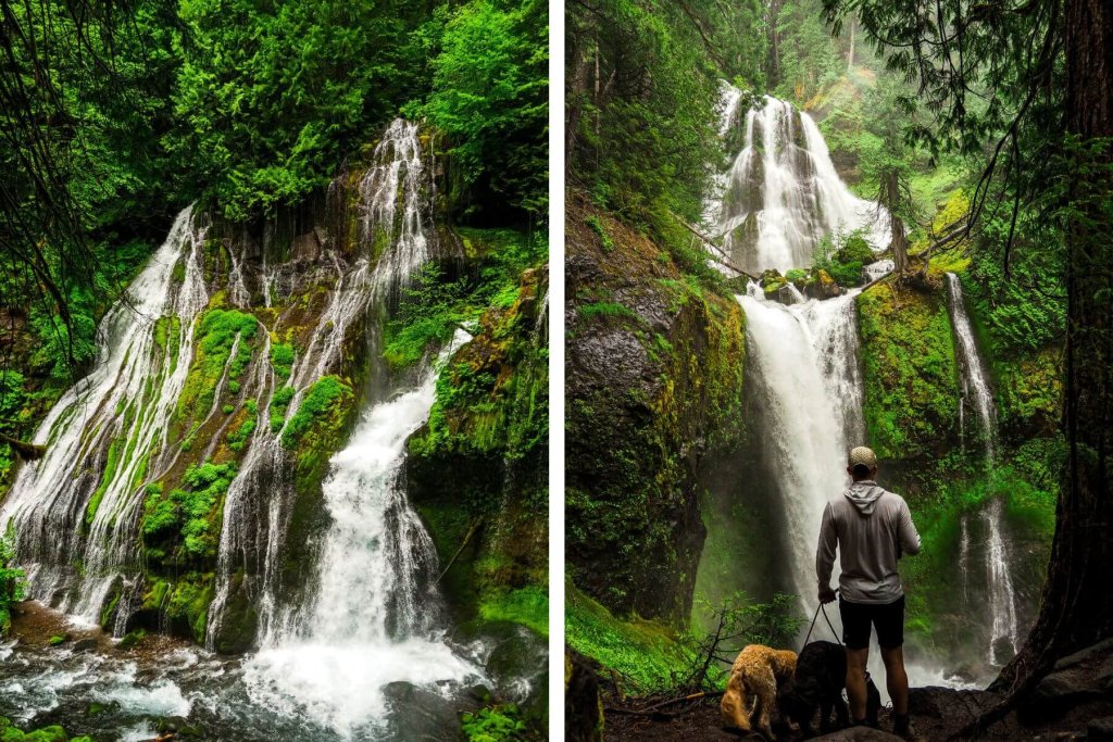 Waterfalls in the Columbia River Gorge Washington
