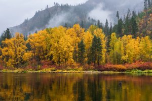 Scenic Drives and Fall Colors in Washington State