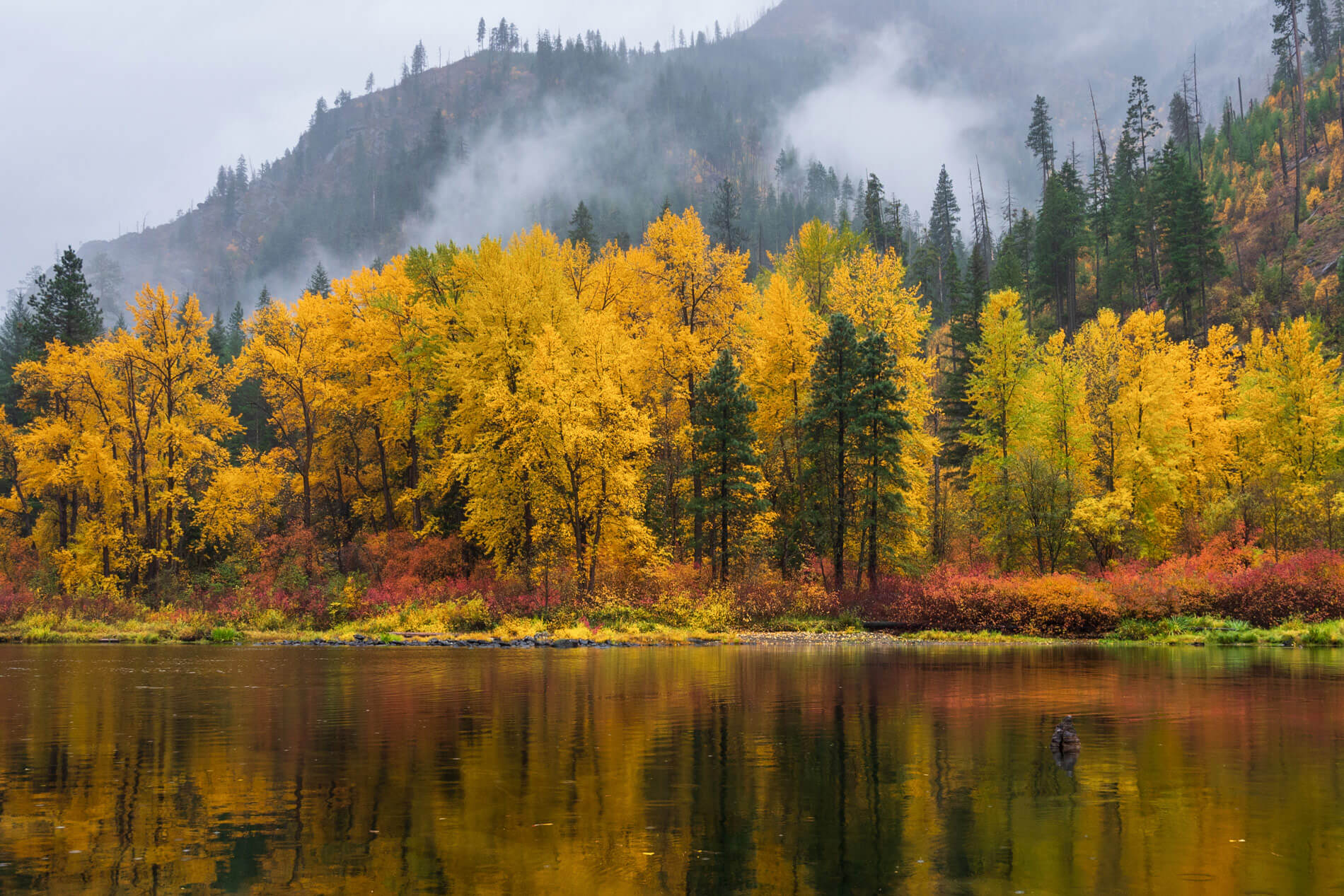 Scenic Drives and Fall Colors in Washington State