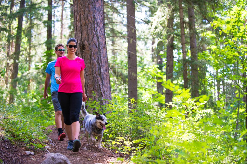 Photo of two adults and a dog hiking on a trail