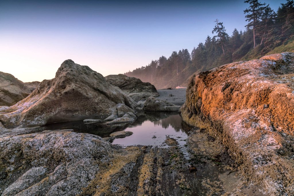 Kalaloch Beach 4-Explore these olympic national park trails