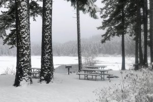 Best Spots for Year-Round and Winter Camping