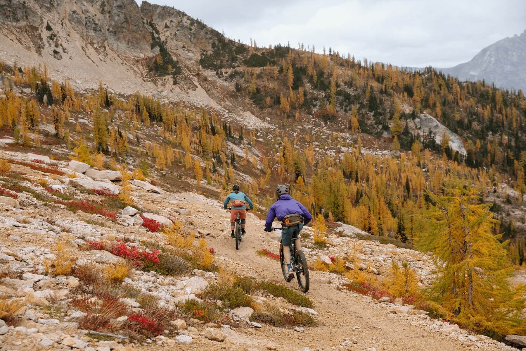 Mountain Biking in Washington State