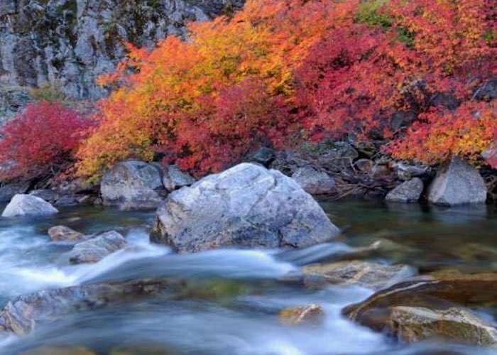 Okanogan Trails