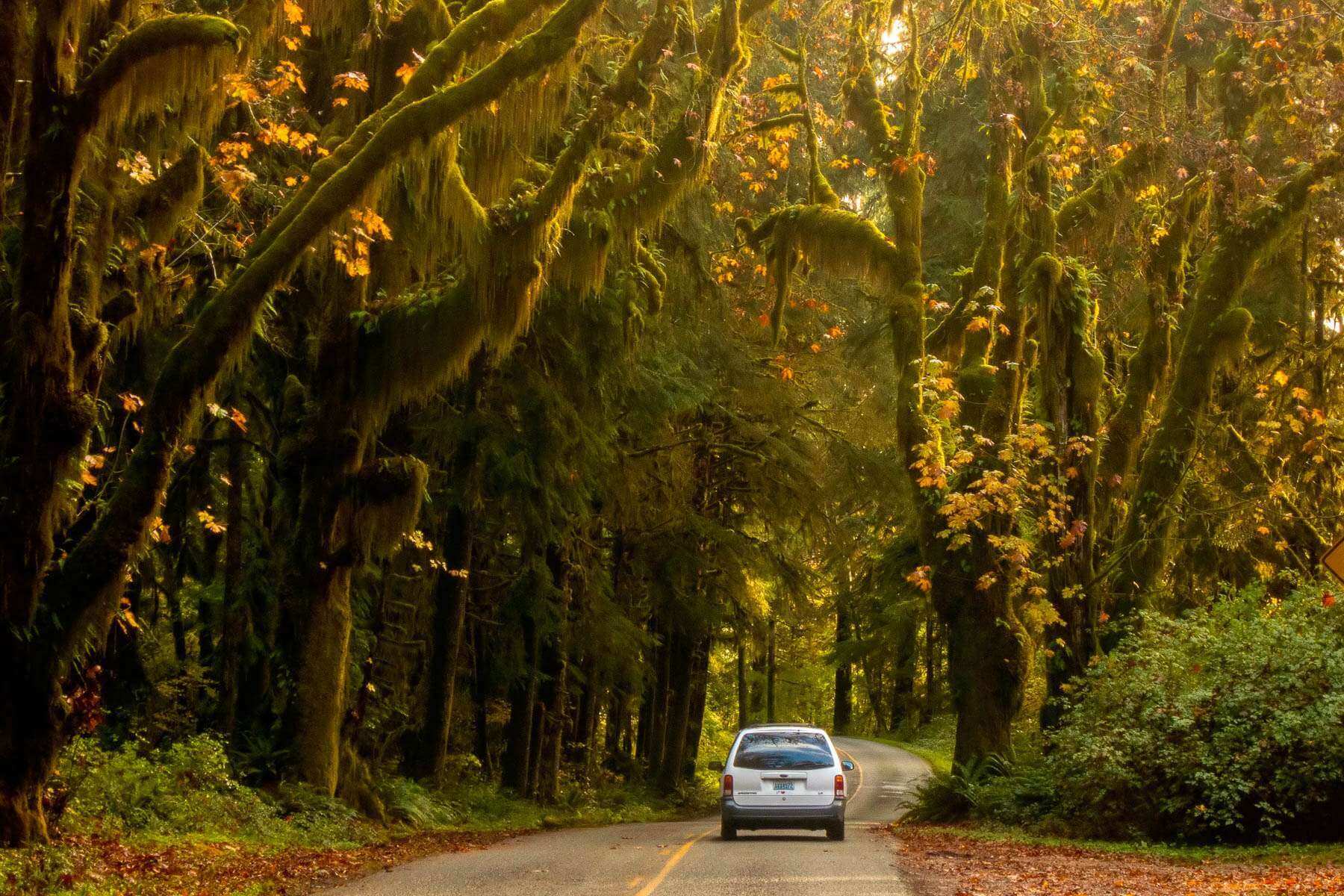 Explore Olympic National Park Washington State