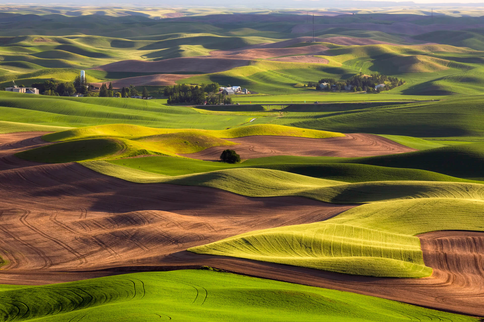 The rolling hills of the Palouse from Steptoe Butte