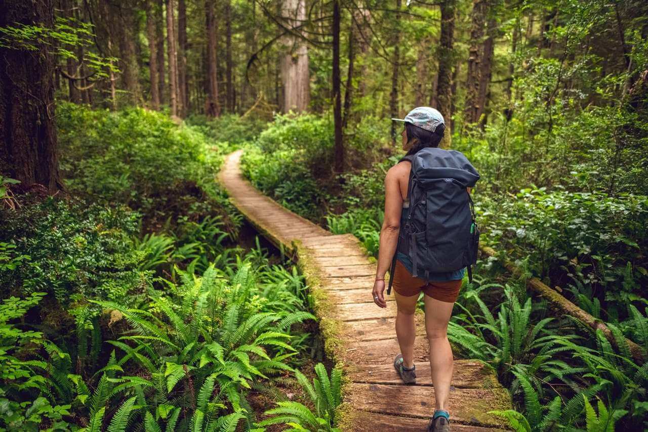 Fun Facts About Washington State