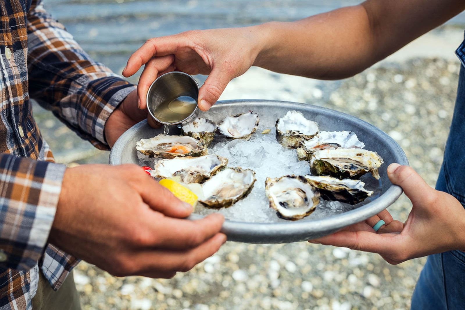 Peninsulas oysters