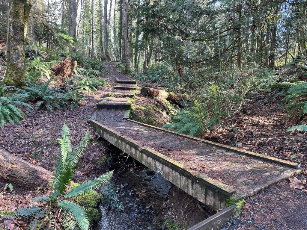 A photo of a wooded trail in Poulsbo