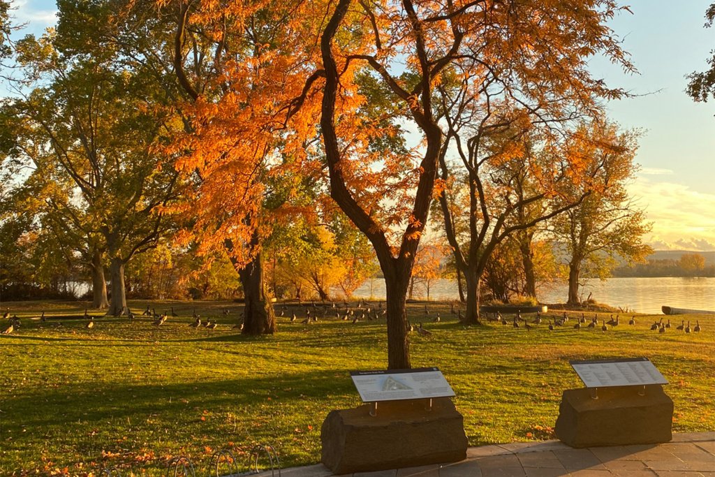 A park in the Tri-Cities