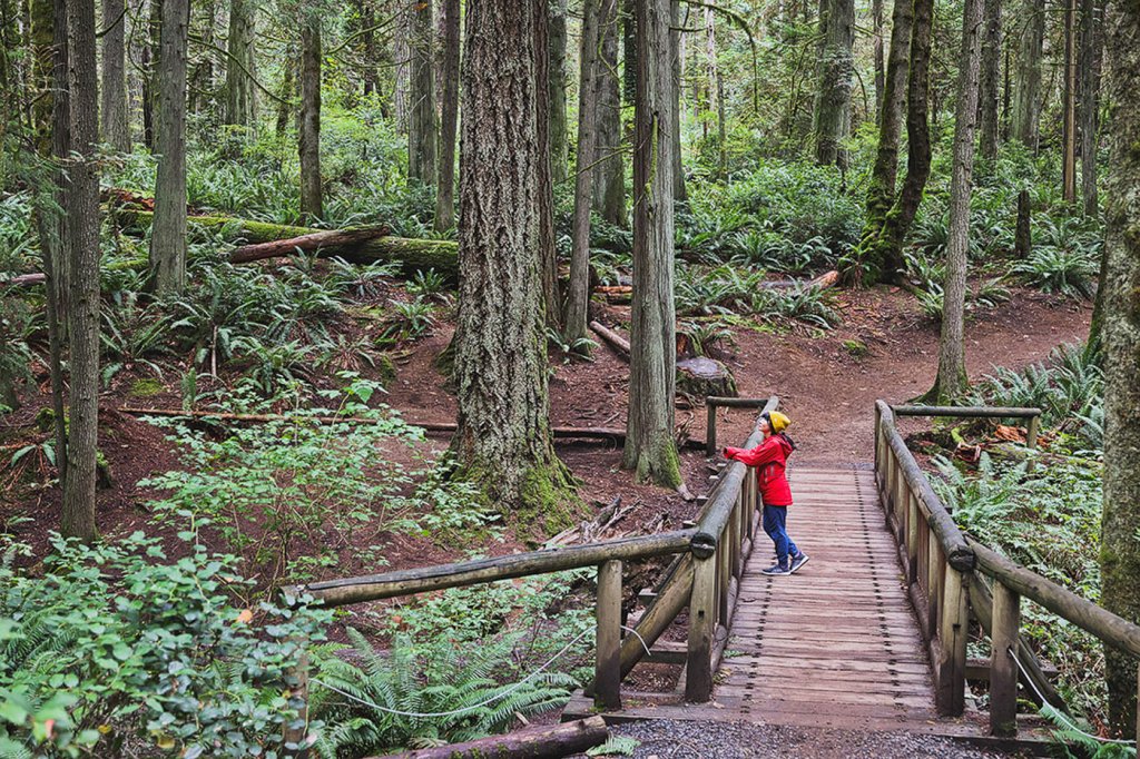 Bainbridge Island Hiking