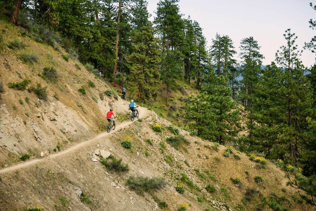 Mountain bikers on Ski Hill.