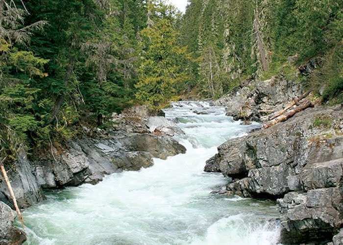Swiftwater Corridor