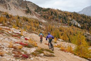 8+ Outdoor Things To Do In Seattle and Washington State
