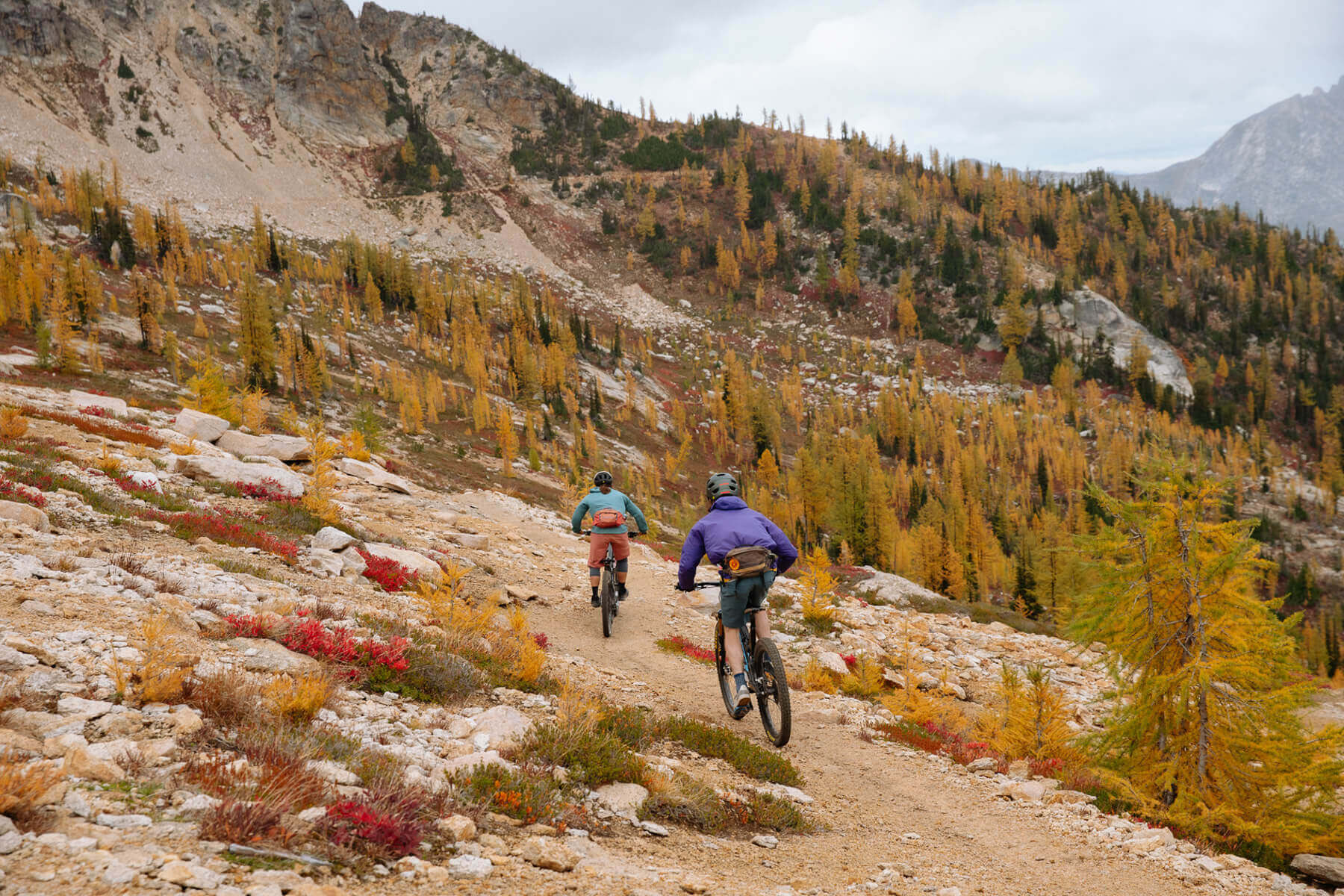 8+ Outdoor Things To Do In Seattle and Washington State