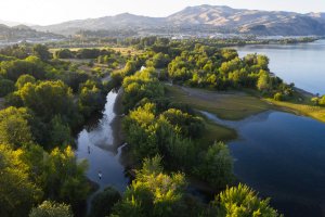 A aerial view of the Columbia River and trees in Wenatchee.