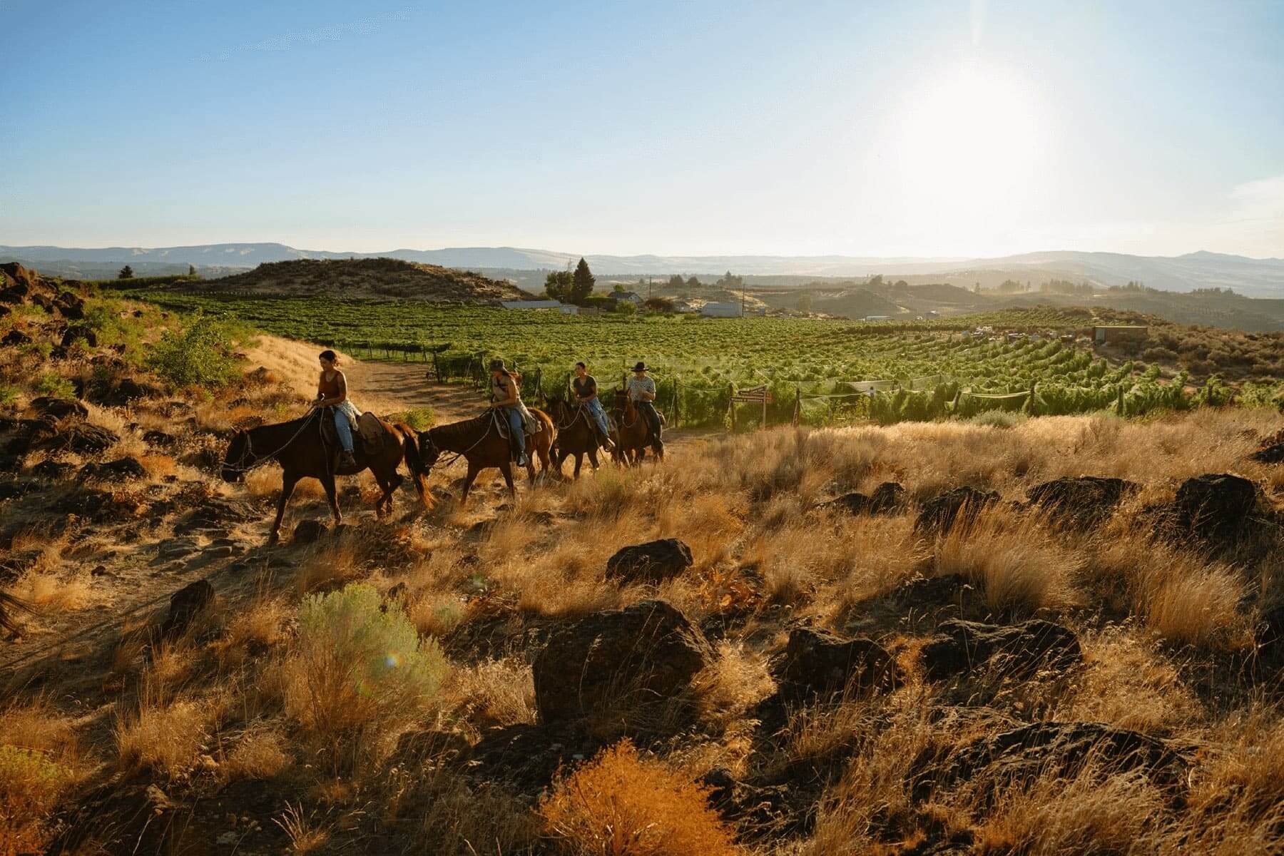 Find the Best Time to Visit Washington State.