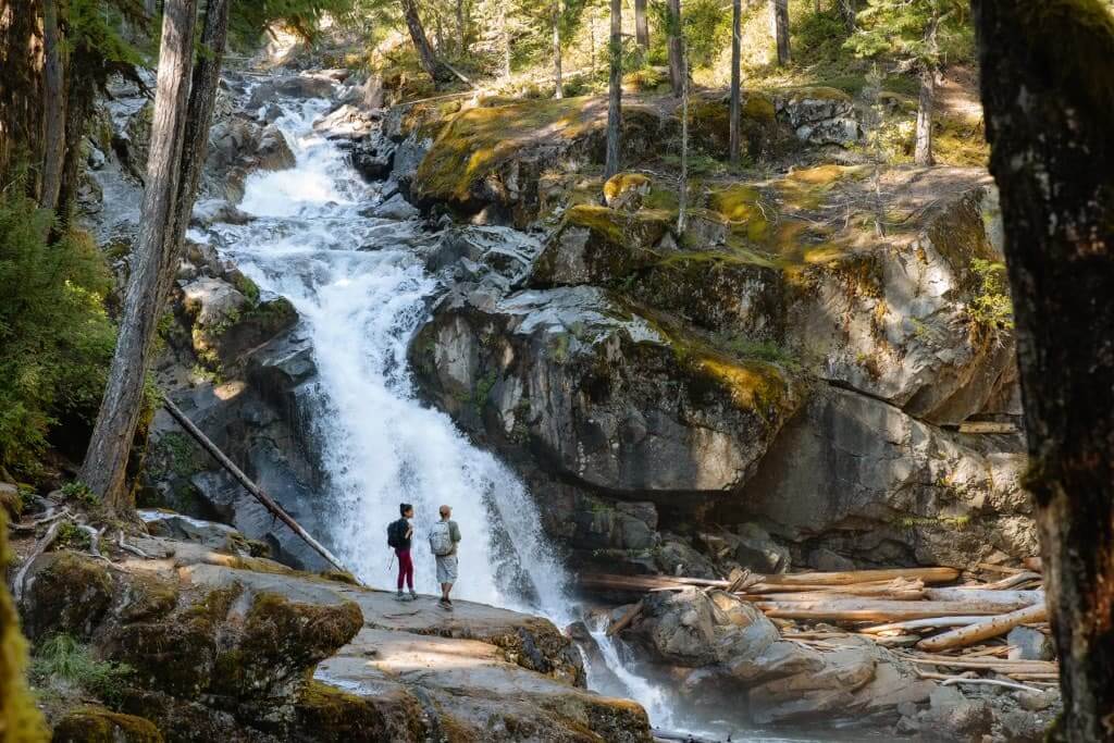 What's new in Washington State