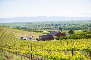 Things To Do in Yakima
