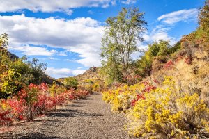 Taps + Trails: Hikes Near Breweries in Washington